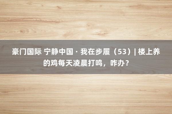 豪门国际 宁静中国 · 我在步履（53）| 楼上养的鸡每天凌晨打鸣，咋办？