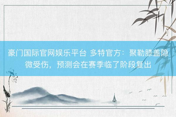 豪门国际官网娱乐平台 多特官方：聚勒膝盖隐微受伤，预测会在赛季临了阶段复出