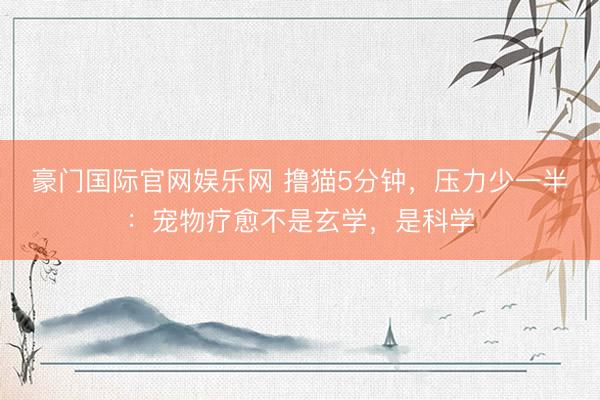 豪门国际官网娱乐网 撸猫5分钟，压力少一半：宠物疗愈不是玄学，是科学